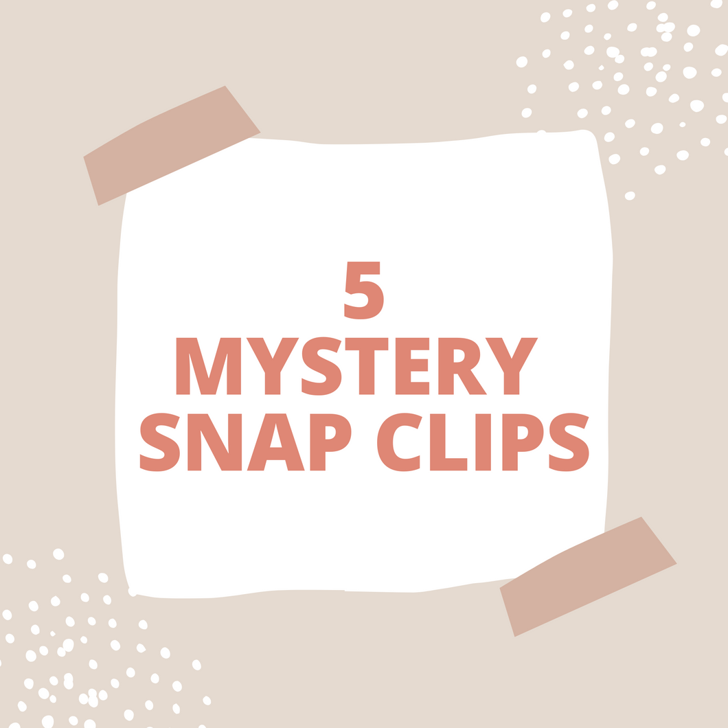 SAVE - MYSTERY BUNDLE 5 (SNAP CLIPS)