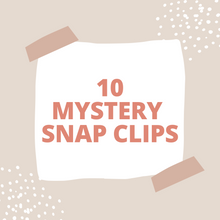 Load image into Gallery viewer, SAVE - MYSTERY BUNDLE 10 (SNAP CLIPS)
